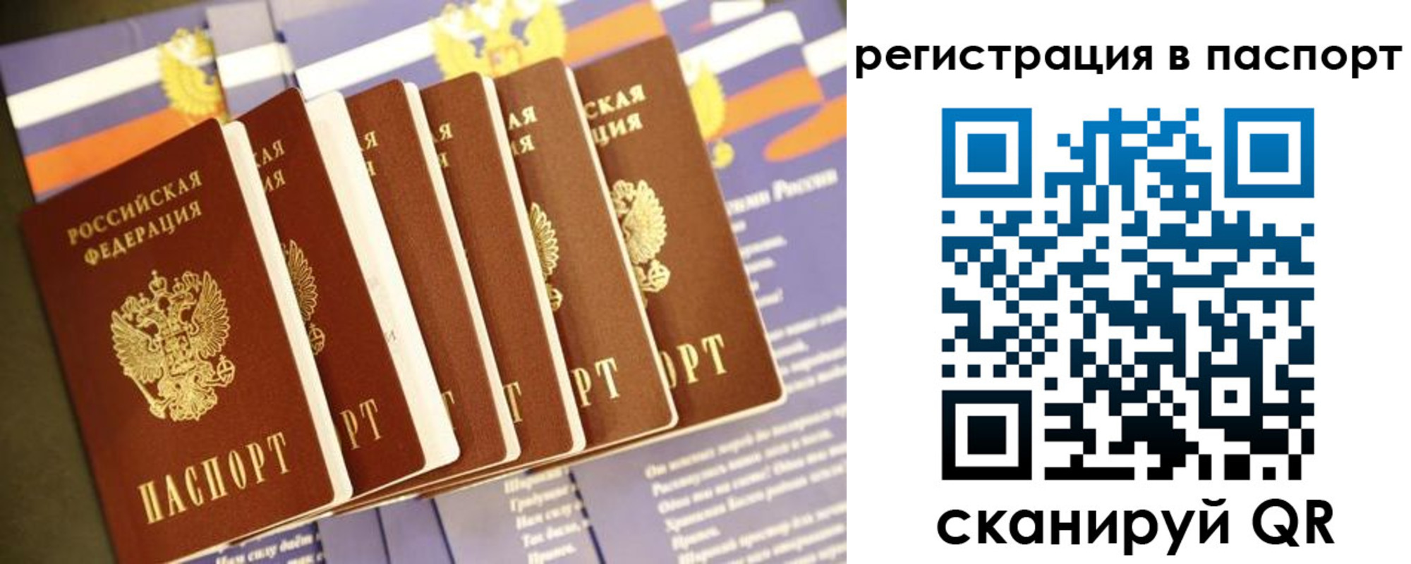 прописка ребенка в Ельне